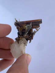 Brookite Bunch perched on Quartz matrix