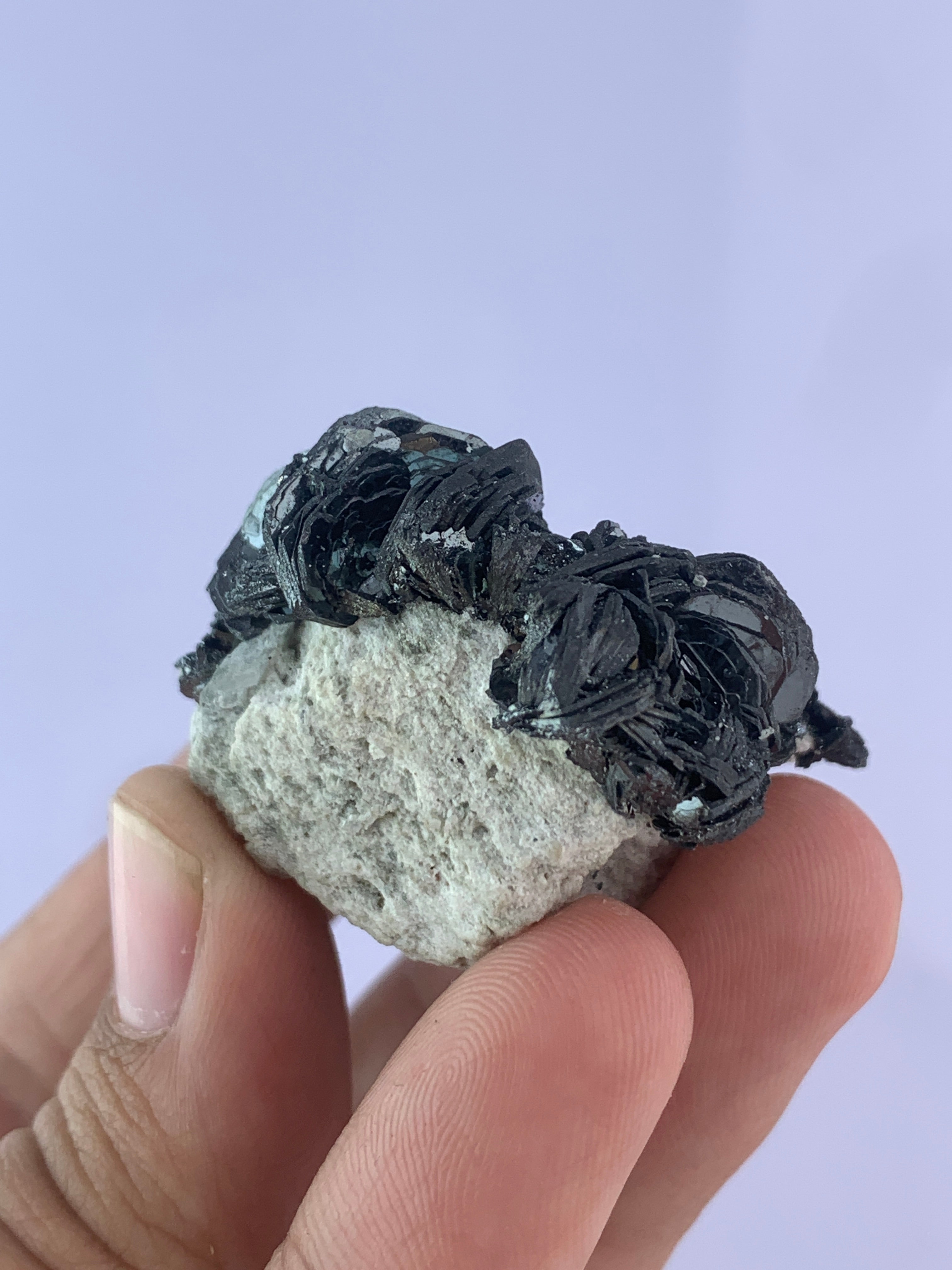 Hematite Flower on Matrix from Pakistan