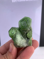 Peridot Crystals from Pakistan