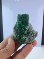 Emerald on Matrix from Pakistan