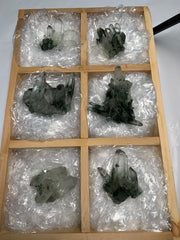 6 Pieces Batch 10 of Chlorite Quartz