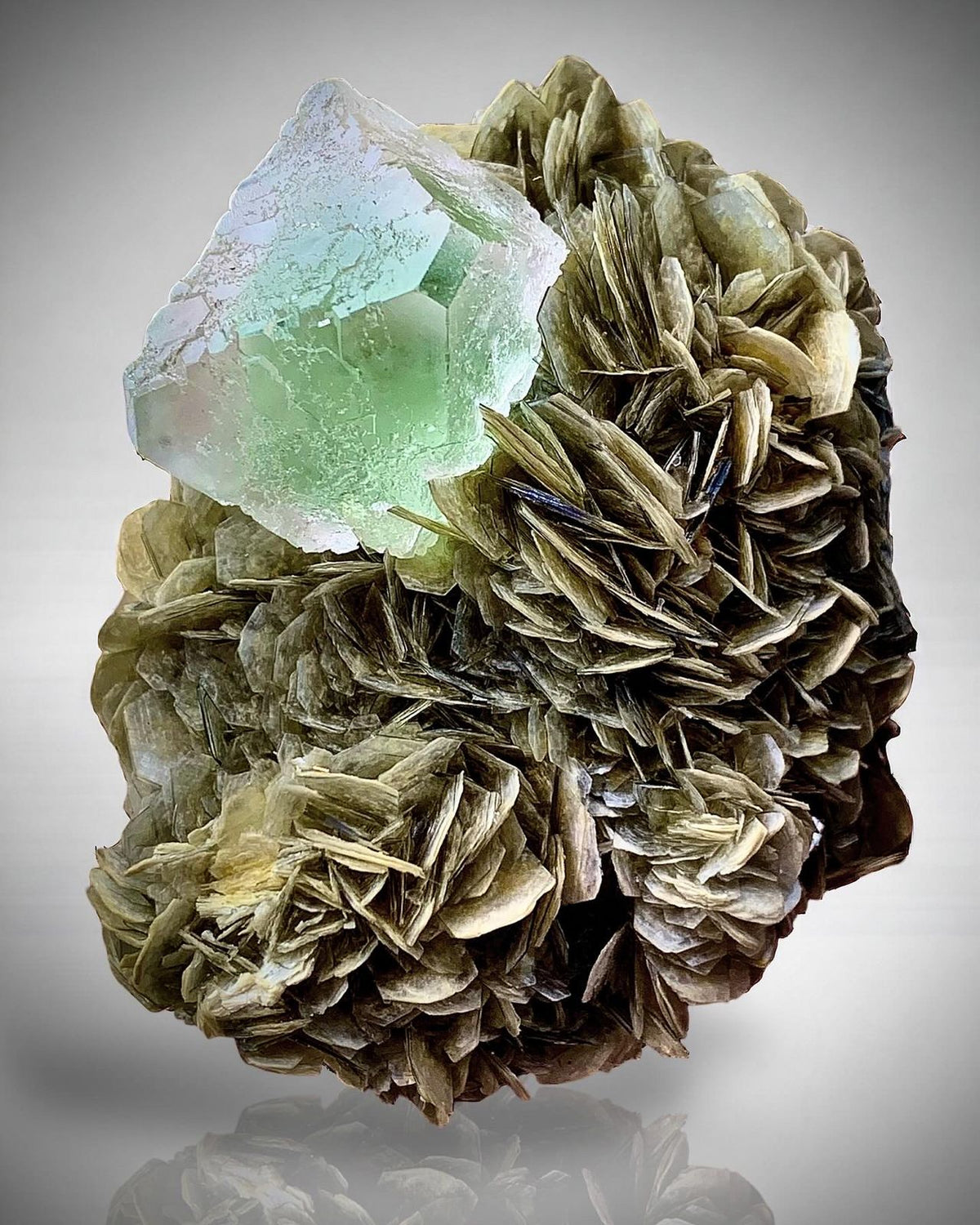 Bicolour Fluorite on Muscovite