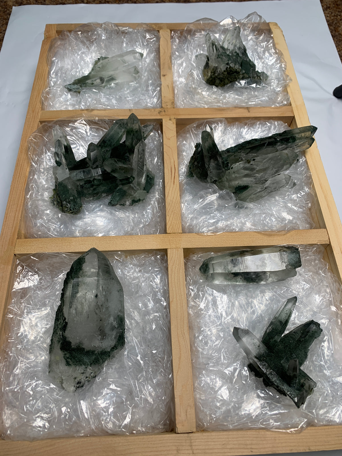 7 Pieces Batch 2 Of Chlorite Quartz