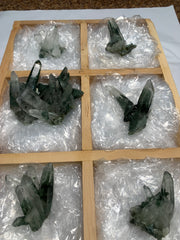 6 Pieces Batch 3 Of Chlorite Quartz