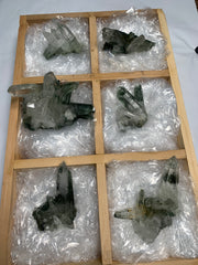 6 Pieces Batch 2 Of Chlorite Quartz