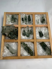 17 Pieces Batch 2 Of Chlorite Quartz