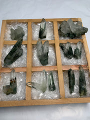 13  Pieces Batch Of Chlorite Quartz