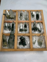 17 Pieces Batch 1 Of Chlorite Quartz