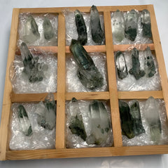 19 Pieces Batch Of Chlorite Quartz