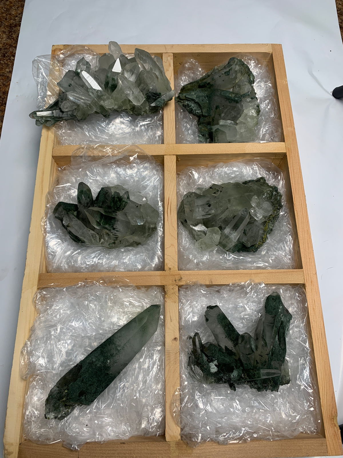 6 Pieces Batch 8 Of Chlorite Quartz