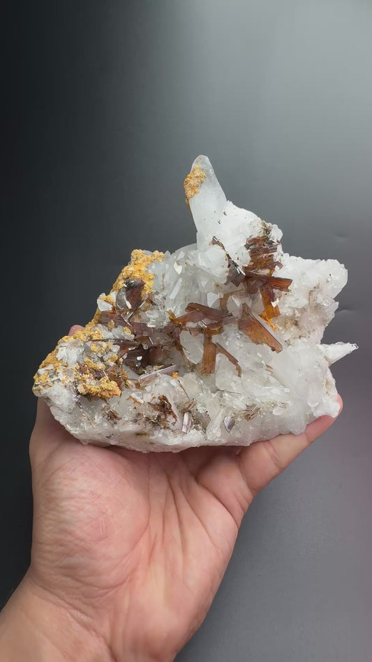 Brookite cluster on Quartz .